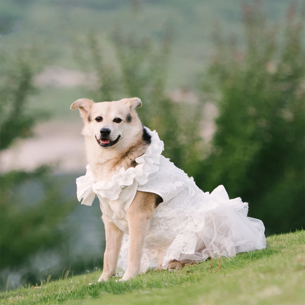 

Dog Wedding Dress Lace Dog Princess Skirt with Wedding Weil Pet Clothes for Small Medium Large Dogs Wedding Clothes Pet Supplies