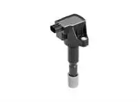 

Store code: 45012253 for ignition coil (pen coil) JAZZ CITY