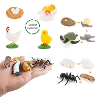 simulation life cycle animals model montessori toy set frog ant mosquito sea turtle figures growth cycle toys for children gifts