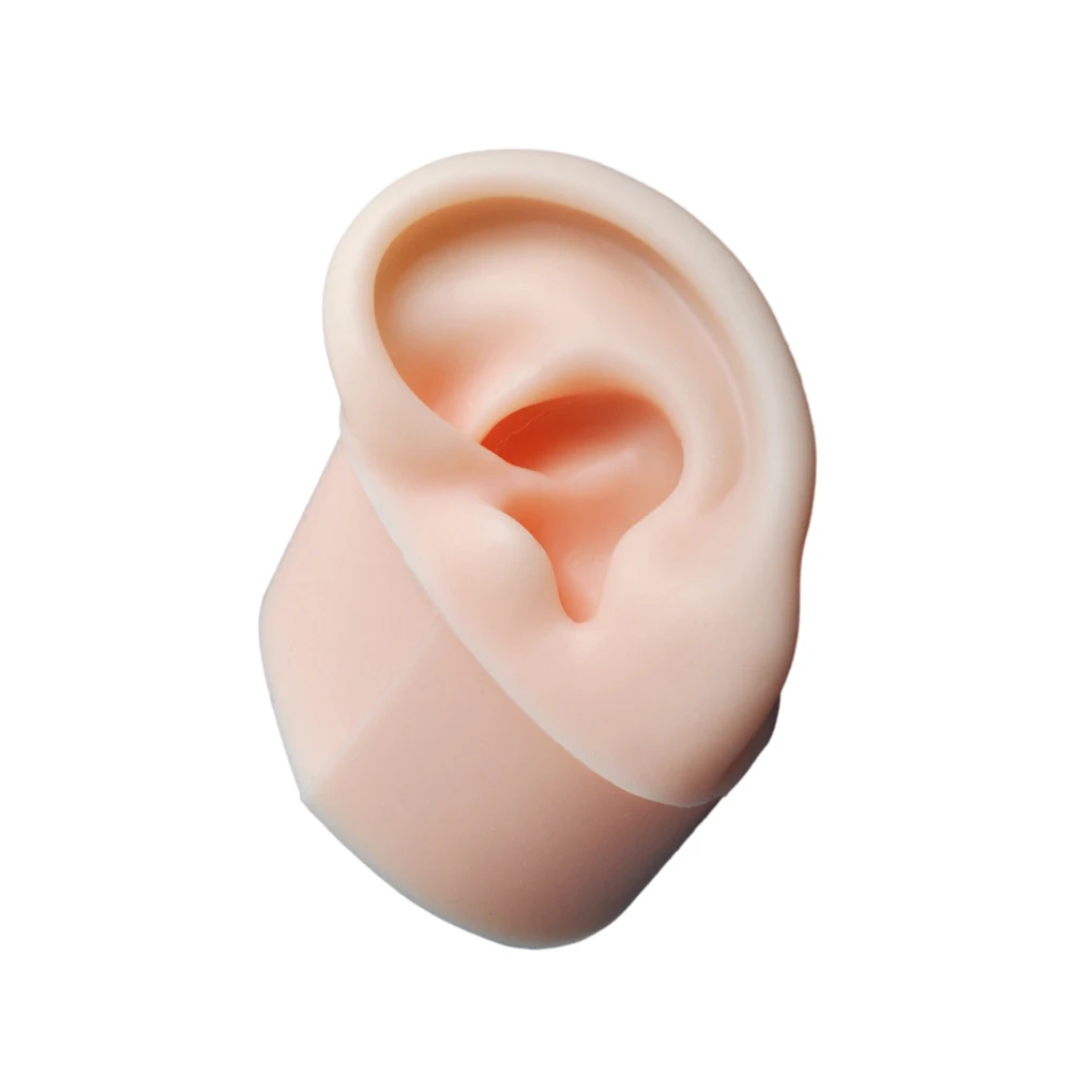 

Soft Silicone Ear Model Fake Ear learning Tools Delicate Texture