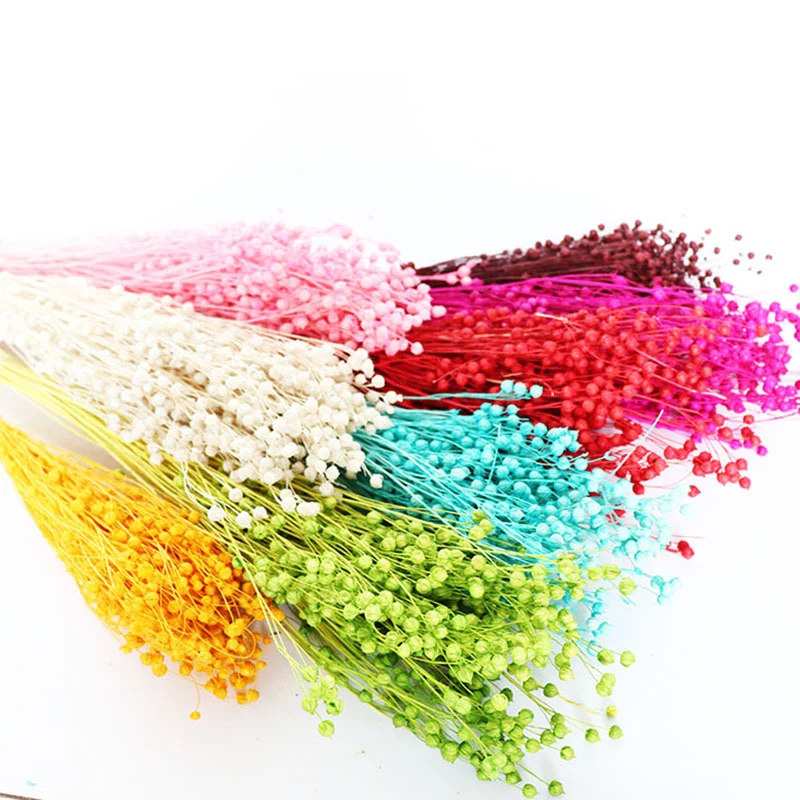 

50g/bunch Natural Dried Flower Rich Bean Preserved Flower Acacia Bean Huma Bean DIY Floral Wedding Party Decoration
