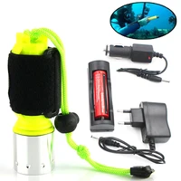 D503 XM-L2 U3 5 Colors Diving LED flashlight Torch 2000LM Waterproof underwater  light lamp for diving light