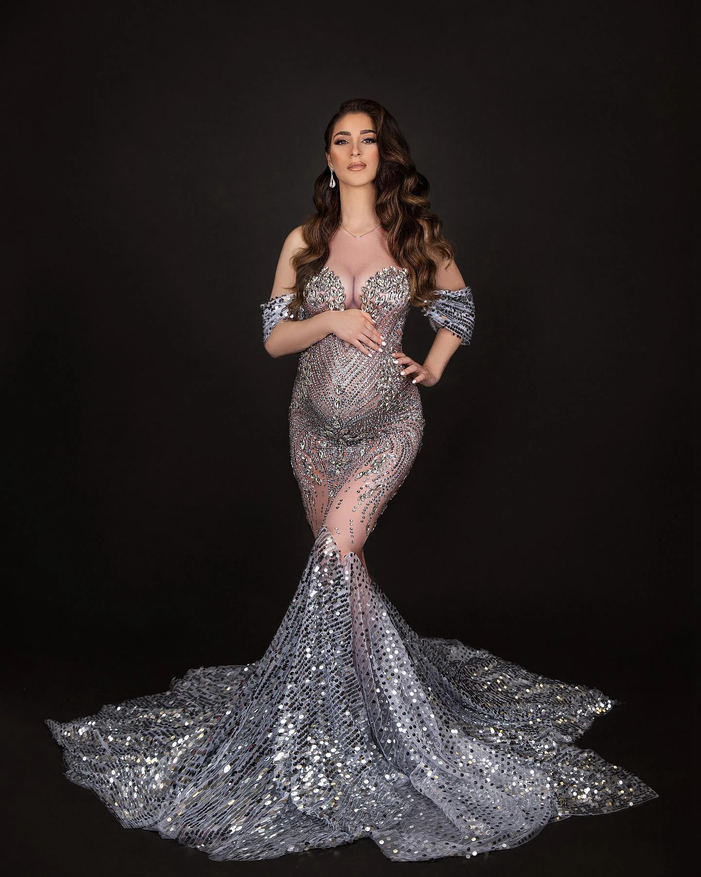 Рисунок 3 - Роскошные Серебристые блестящие