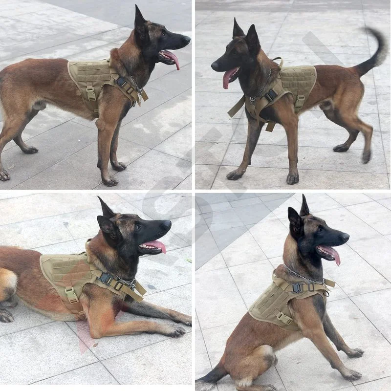 Тактическая шлейка и поводок для собак комплект из большого жилета K9 с