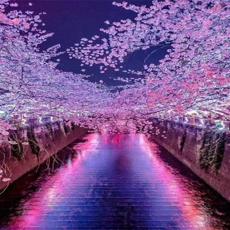 Алмазная живопись пейзаж Сакура 5d мозаика сделай сам полноразмерная квадратная