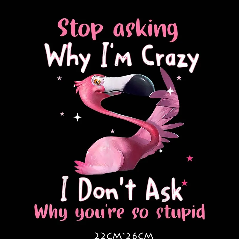 Funny Flamingo Stop Asking Why I'm Crazy Thermo Adhesive Patches Household Iron On Clorhing Stickers For Flamingo Lovers