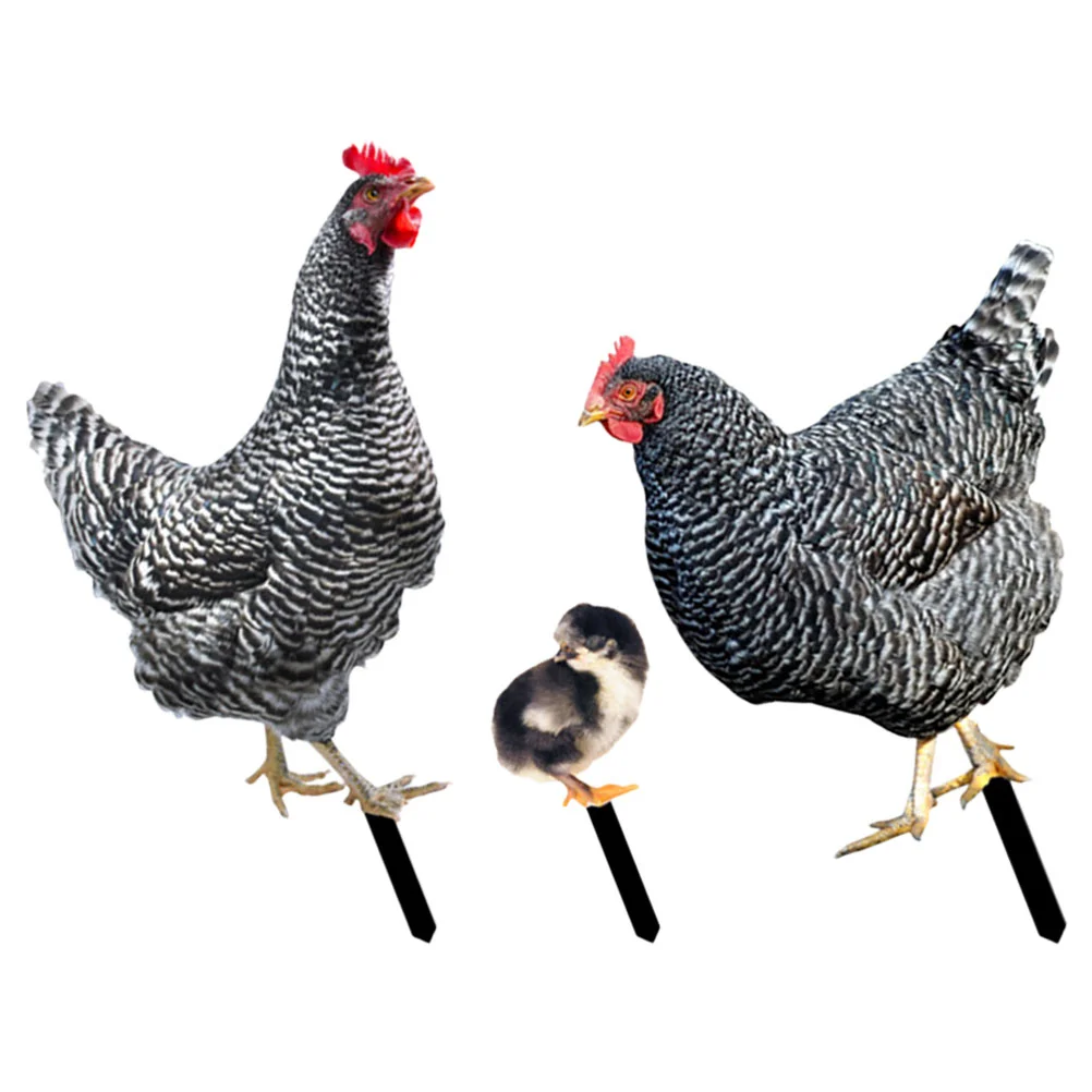 

3pcs Garden Decorative Chicken Modeling Stake Scene Layout Stake Chicken Stake Decor Ground Inserted Chicken Sign
