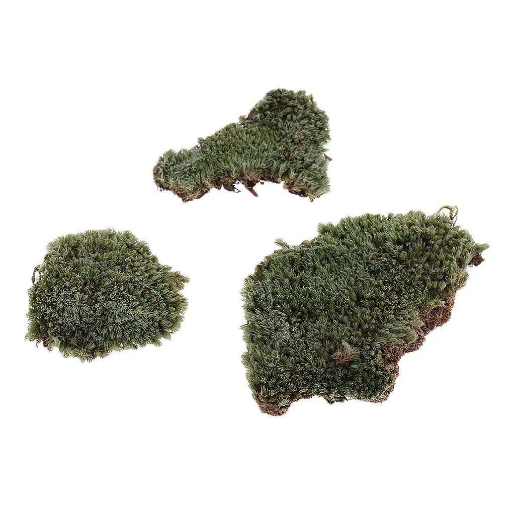 

Layout Secenery Green Lichen Model Vivid for Senery Toy
