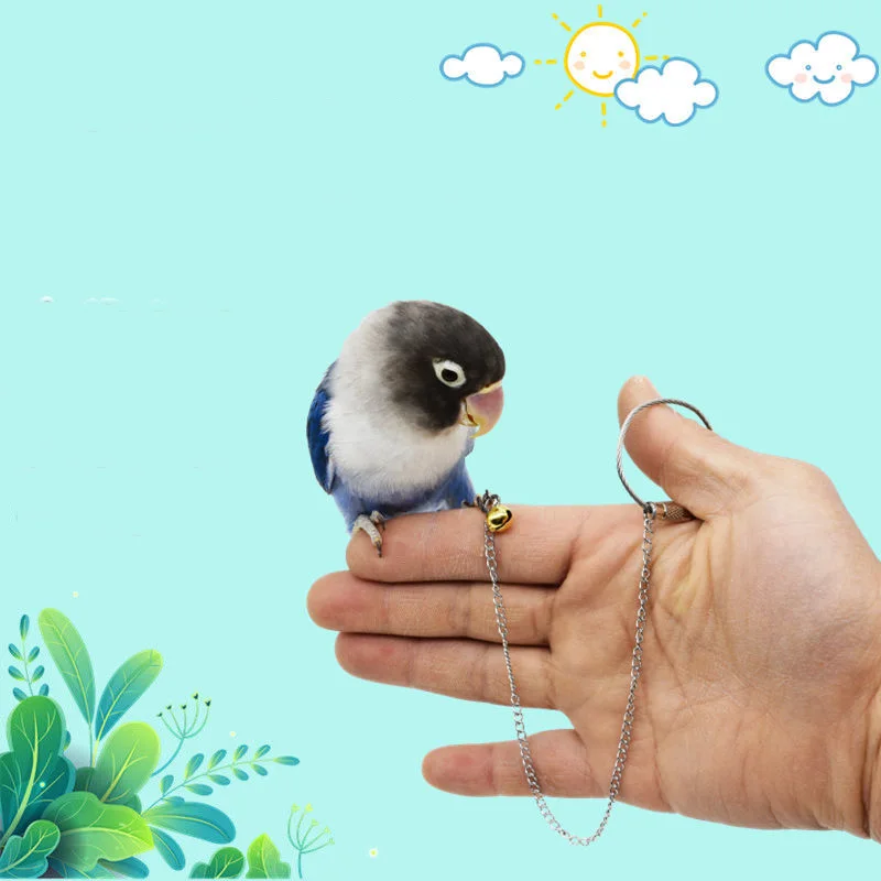 

Stainless Steel Anklet Pet Parrot Birds Foot Chain + Toys for Pet Parrot Birds Silver