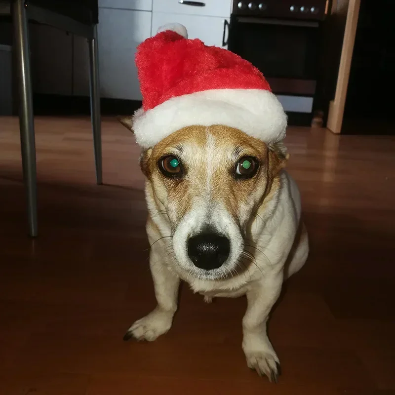 Рождественская шапка для домашних животных Красная плюшевая Шляпа Праздничное