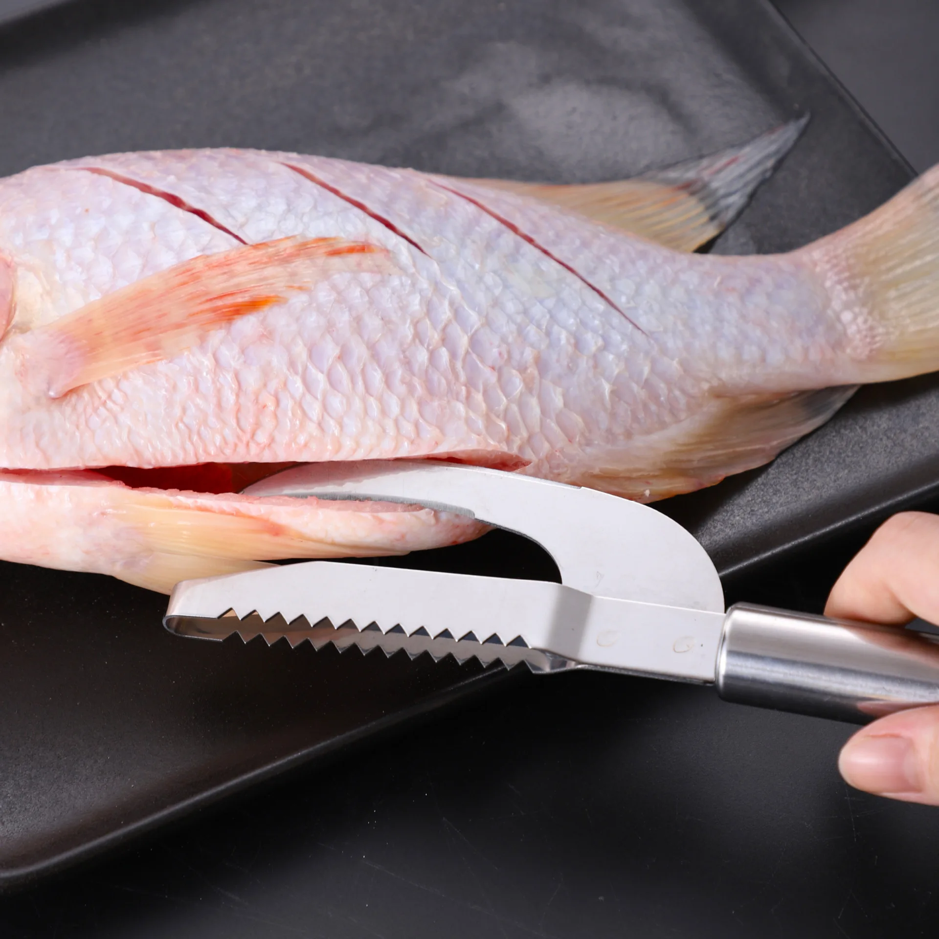 

Stainless steel fish scale planer kitchen multi-function fish maw artifact poultry intestine knife two and one killing eel tool