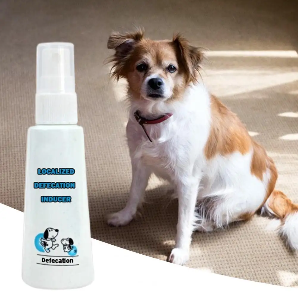 

Экологичный туалет без запаха, тренировочный спрей, Индуктор для собак, товары для домашних животных