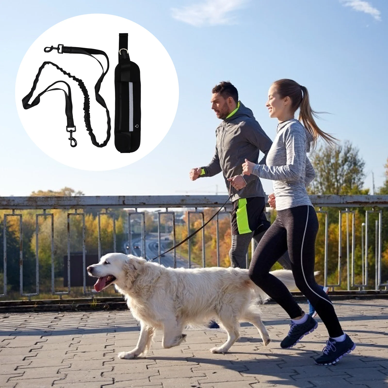 

Светоотражающий Поводок для собак с поясной сумкой, поводок для прогулок и бега