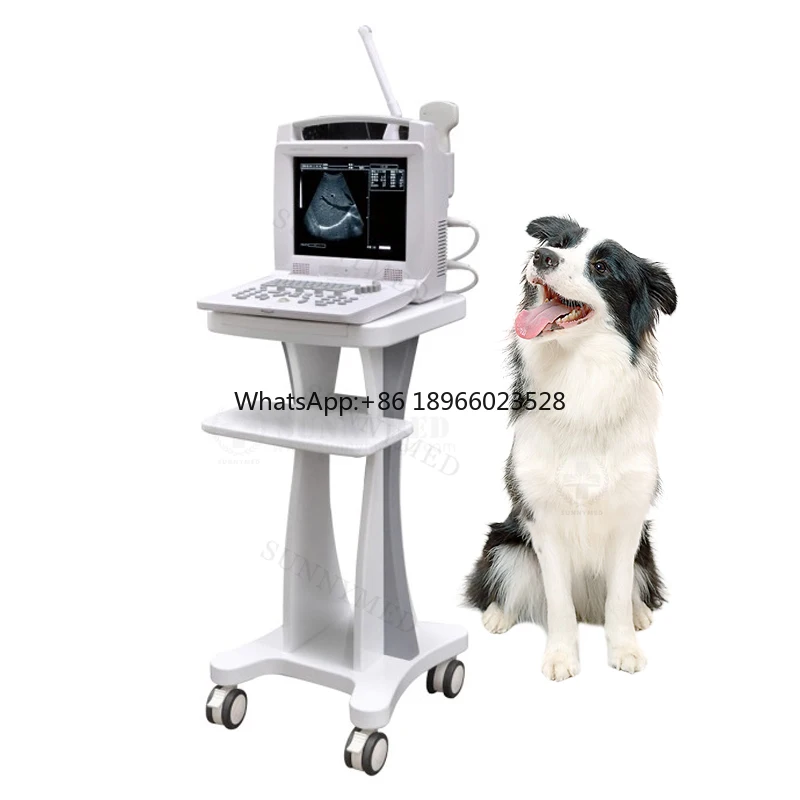 Оригинальное портативное ветеринарное ультразвуковое устройство