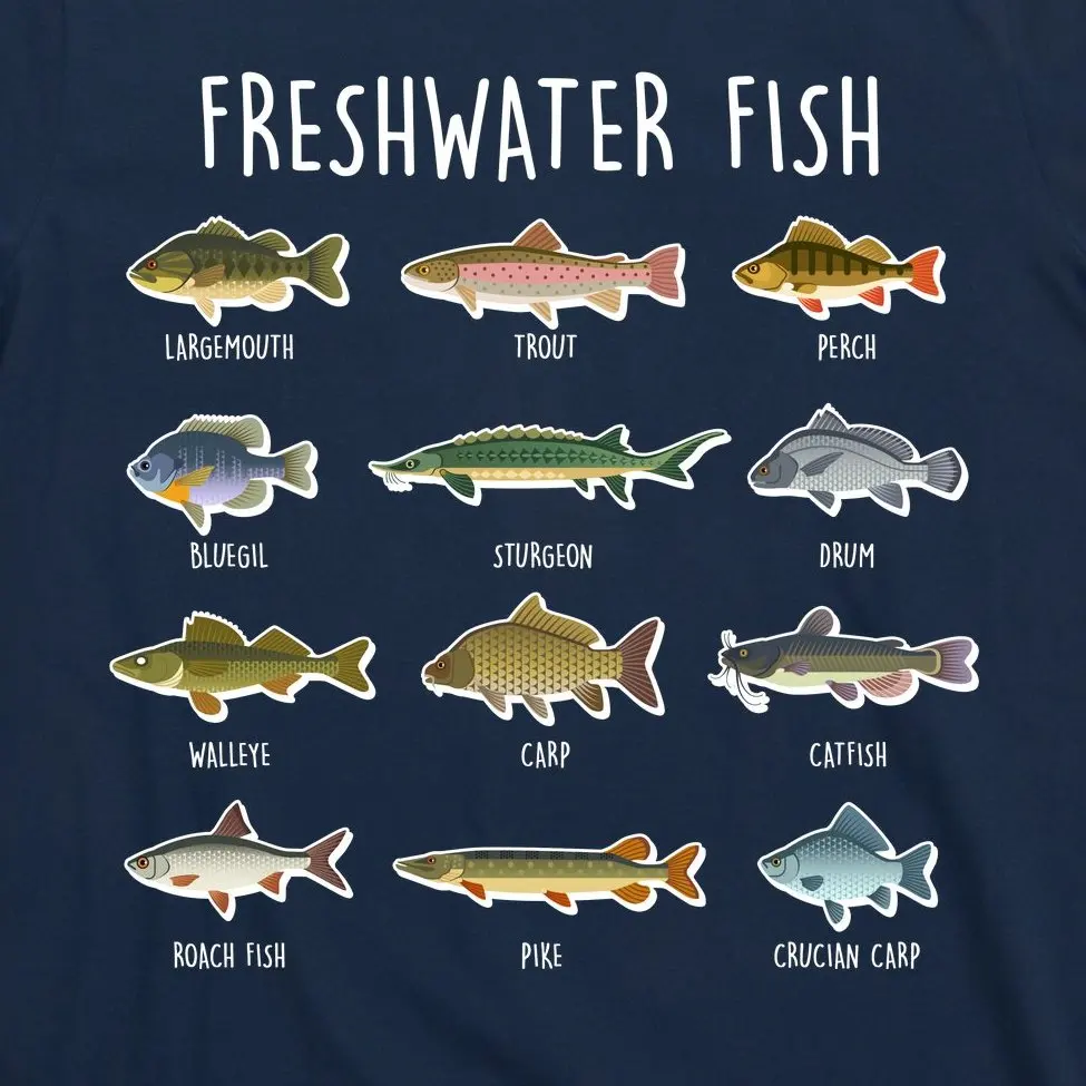 Футболка мужская с круглым вырезом и коротким рукавом из натурального хлопка