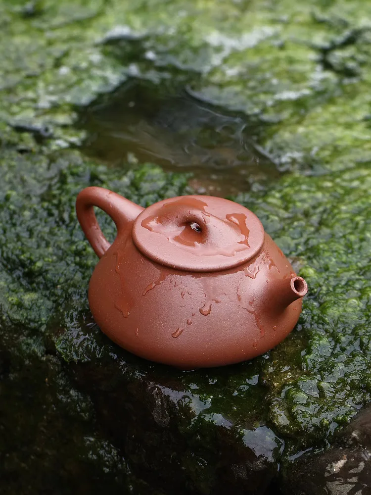 Canghu Tianxia Yi Фиолетовый глиняный горшок Чистый чайный сервиз ручной работы