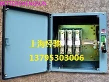 

Φ/3, Φ/4 Load Iron чехол Switch