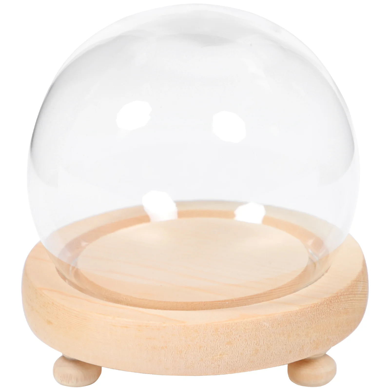 

Glass Dome Cover Display Cloche Flower Eternal Clear Cake Immortal Spherical Bell Landscape Micro Ornament Valentine Case Table