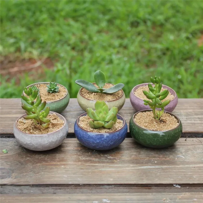 

6pcs/set Mini Small Ceramic Bonsai Flower Pot for Plants Decorative Desk Office Decor Succulent Garden Pots Planters Flowerpots