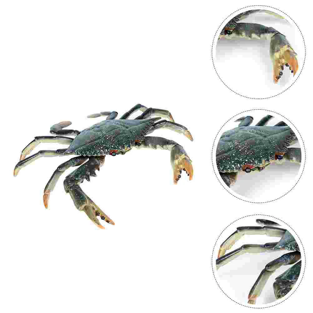 

1pc Simulation Model Marine Animal Models for Aquarium )