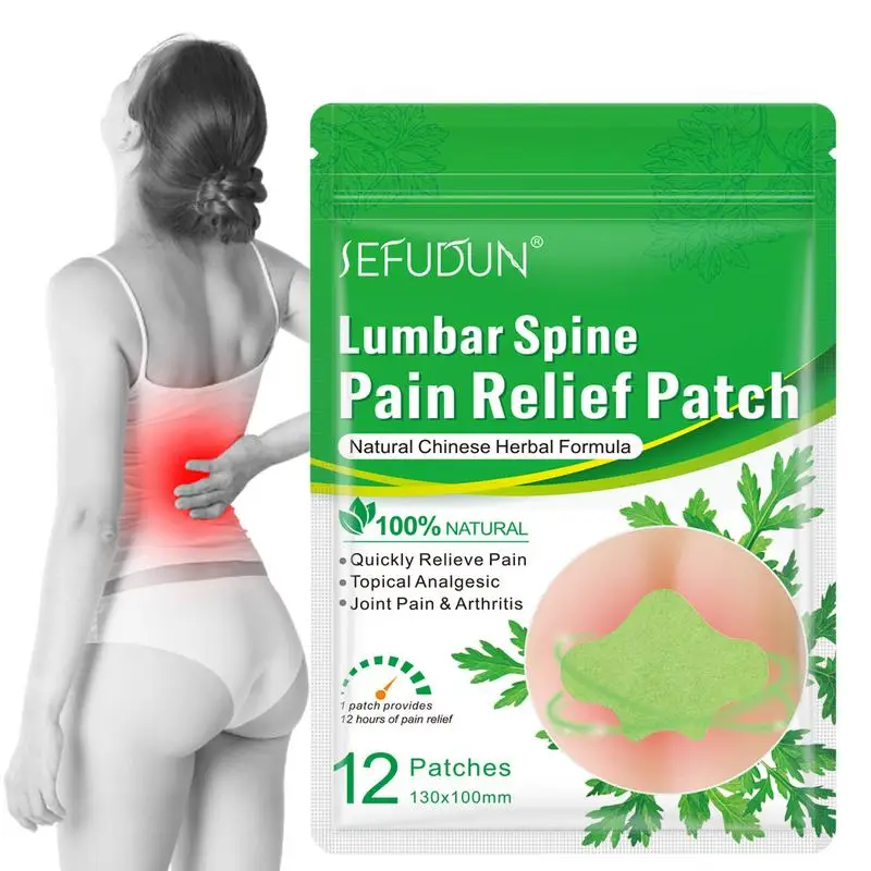 

12 PCS Spine Patch Wormwood Herbal Extract Lumbar Patches Self-Heating Lumbar Back Shoulder Neck Cervical Joint Bone Health Care