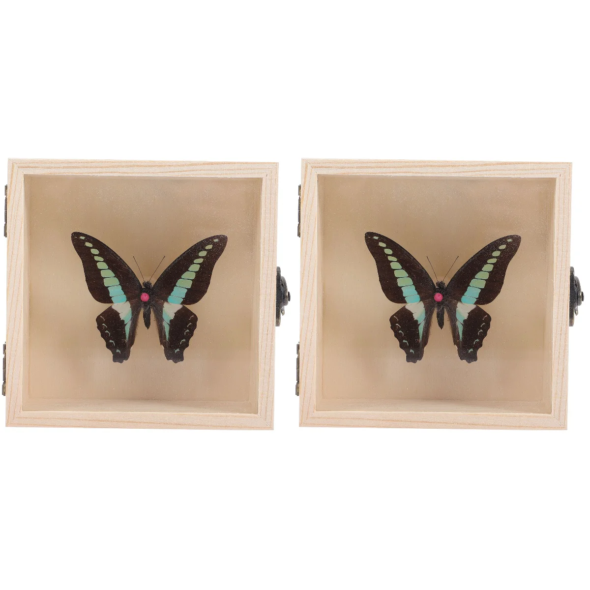 

2 Set Decoraciones Para Salas Casa Specimen Craft Picture Frame Pendant Butterfly