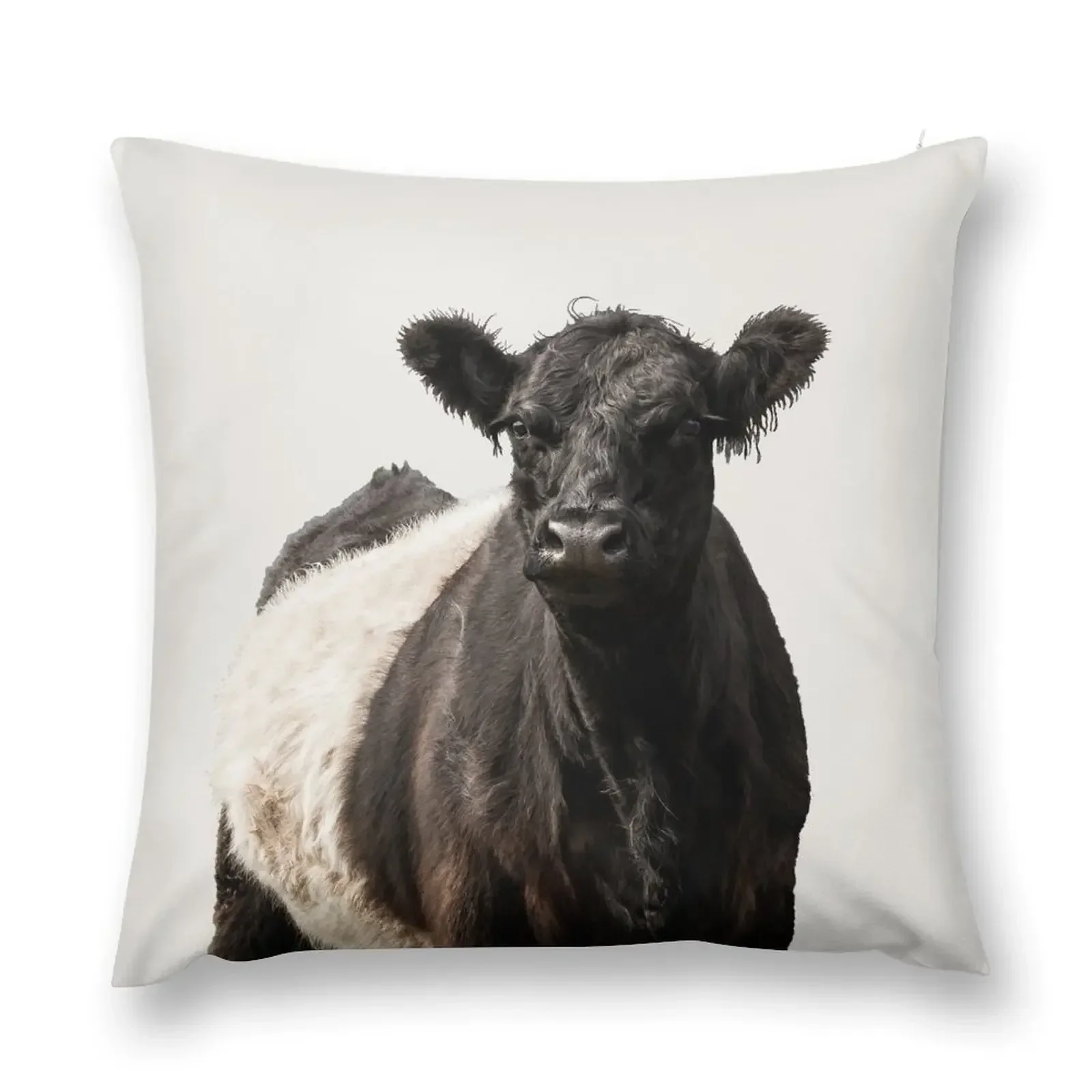 Фото Поясная подушка Galloway Cow, чехол для диванной подушки, наволочки, декоративная подушка №1