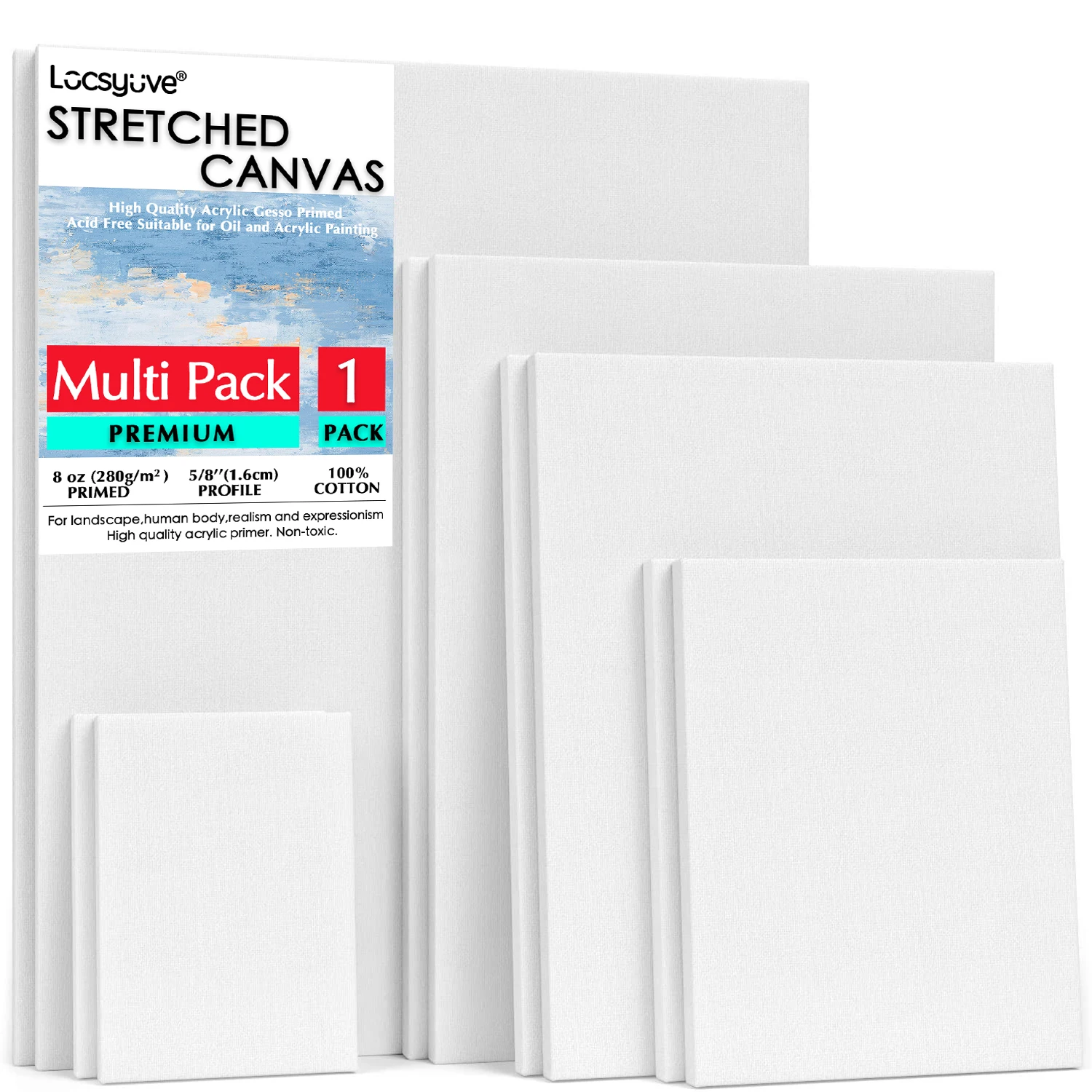 Locsyuve Paint Canvas for Painting, Stretched Canvas,1piece,100% Cotton Primed Art Supplies for Acrylic Pouring and Oil Painting