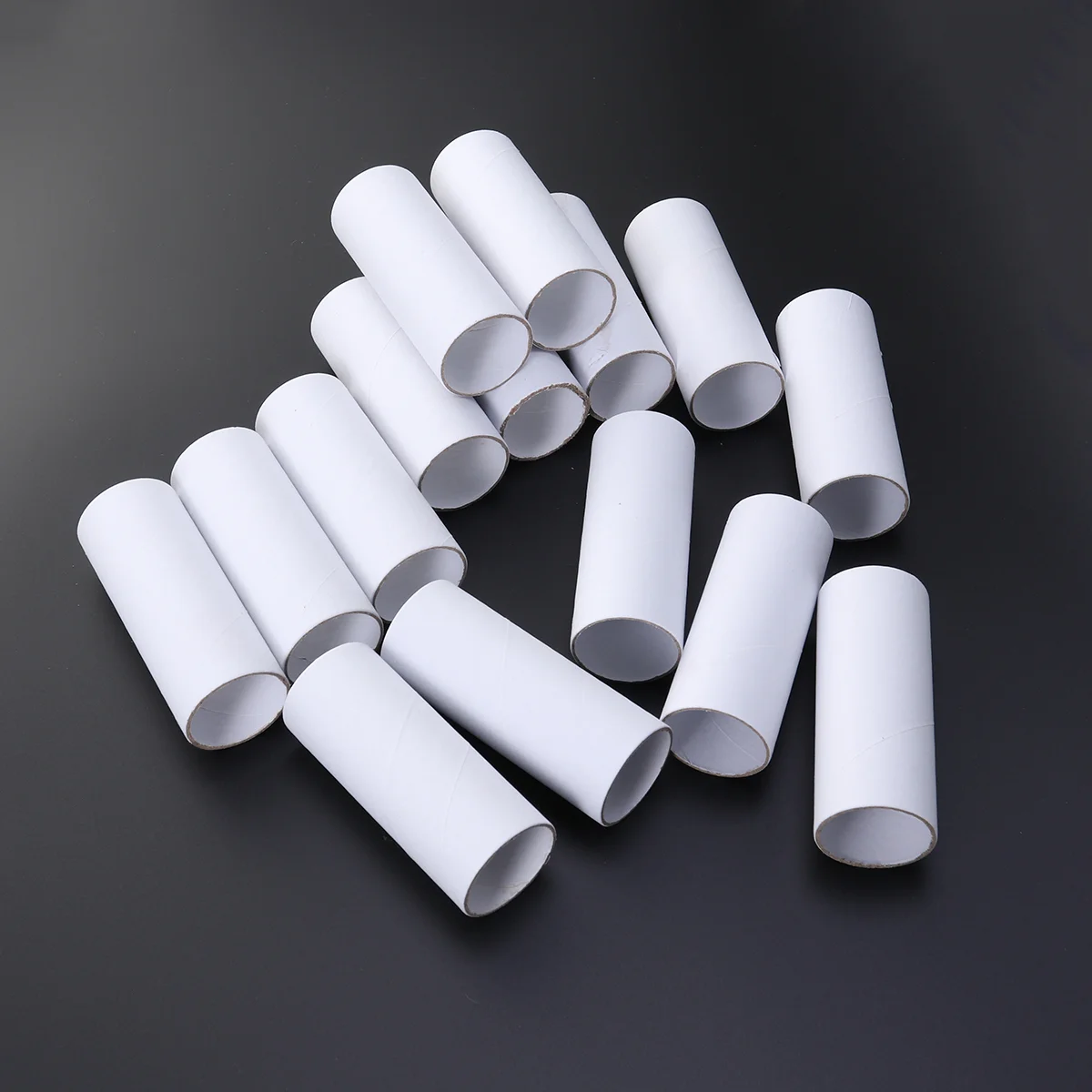 15 PCS Squiz Toys Cardboard Rolls Crafts Round Tubes Developmental Puzzle Recycled Coiled