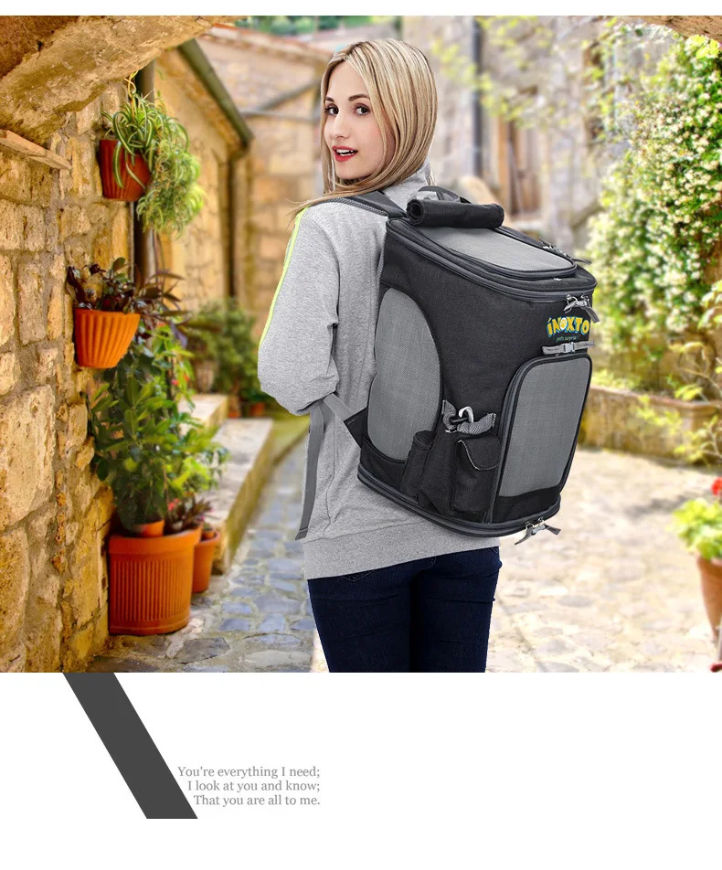 

2022 Folding pet backpack portable pet cat bag breathable