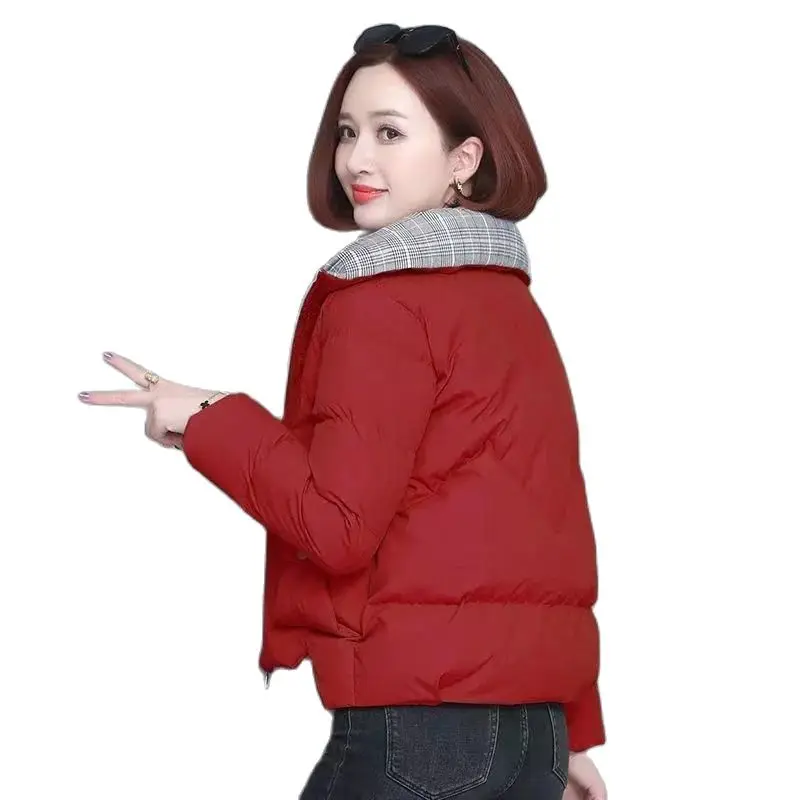 Пуховик женский с хлопковой подкладкой новинка 2024 короткая стеганая куртка