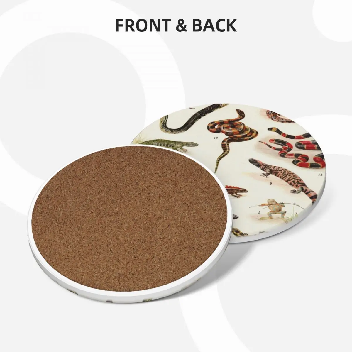 Adolphe Millot - Batraciens et рептилии-французский винтажный zoology постер керамические