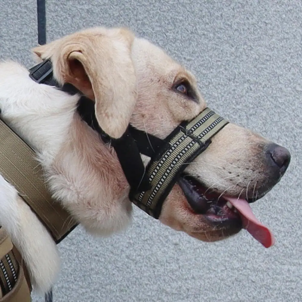 

Quick Release Dog Muzzle Adjustable Reflective Dog Muzzle Leash Comfortable Halter for Outdoor Walks with Soft Nose Leash Public