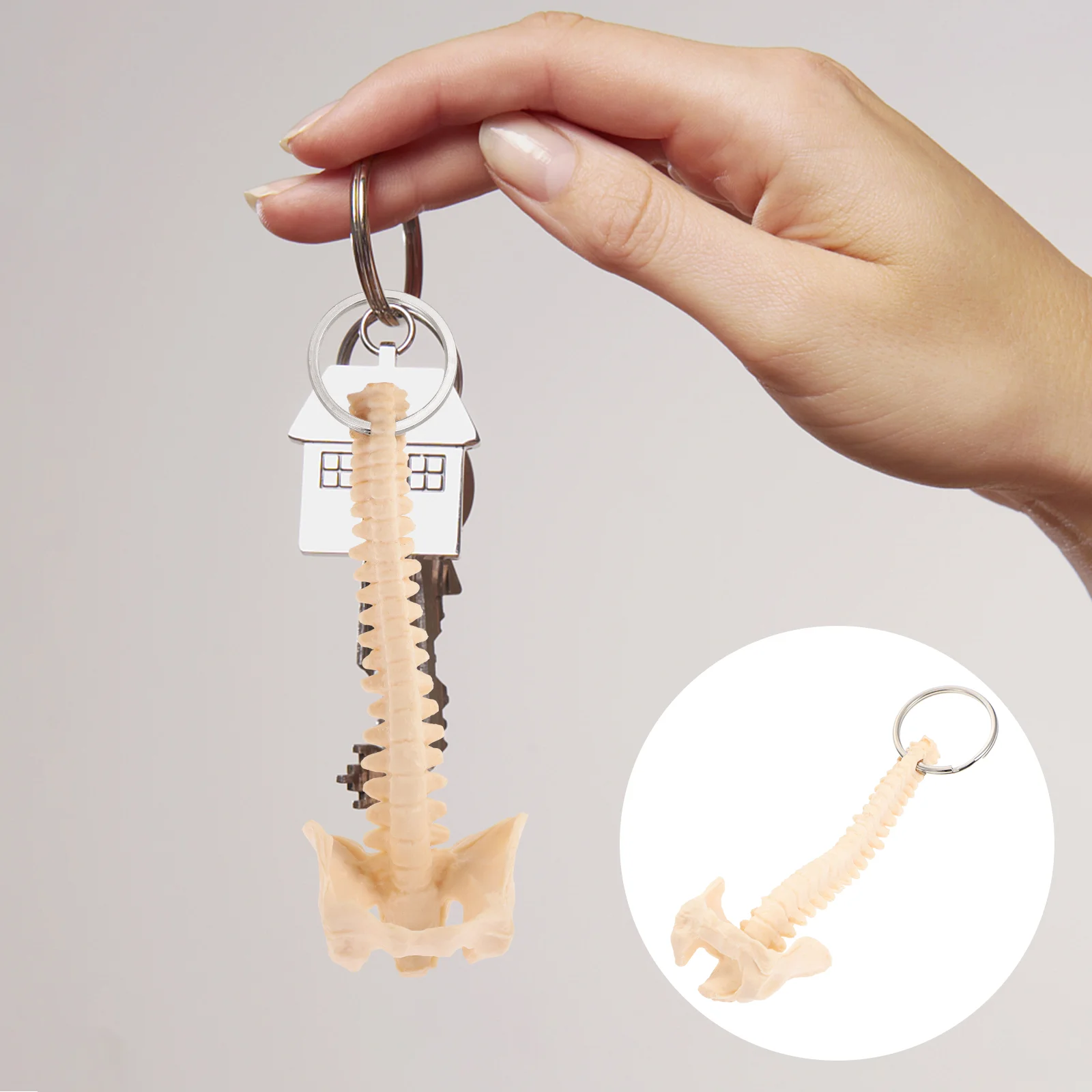 

Skeleton Keychain PVC Practical Portable Spine Key Chain Teaching Aid Spine Key Ring Car Key Ornament Spine Model