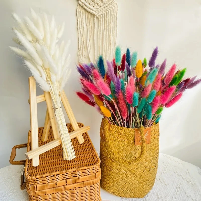 

120pc Real Natural Floral Dried Flowers Bunny Rabbit Tail Grass Mixed Bouquet Colorful Lagurus Ovatus for Photo Props Decoration