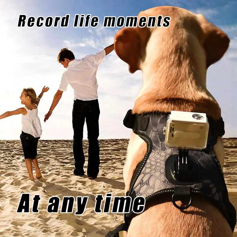 

MySudui Экшн-камера для собак, стабилизатор стрельбы, жилет для домашних животных, дышащая регулируемая камера, фиксированный плечевой ремень ...