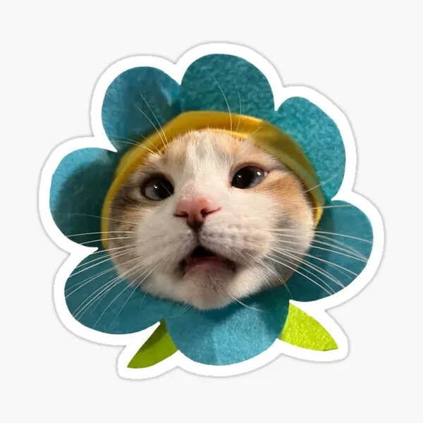 

5 шт., декоративные наклейки на окна ноутбука, в виде цветов