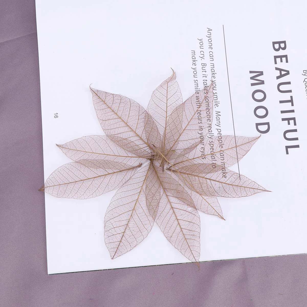 

50Pcs Rubber Tree Dried Leaves Specimen DIY Materials Assorted Dried Pressed Leaves Leaves for Greeting Cards Manual