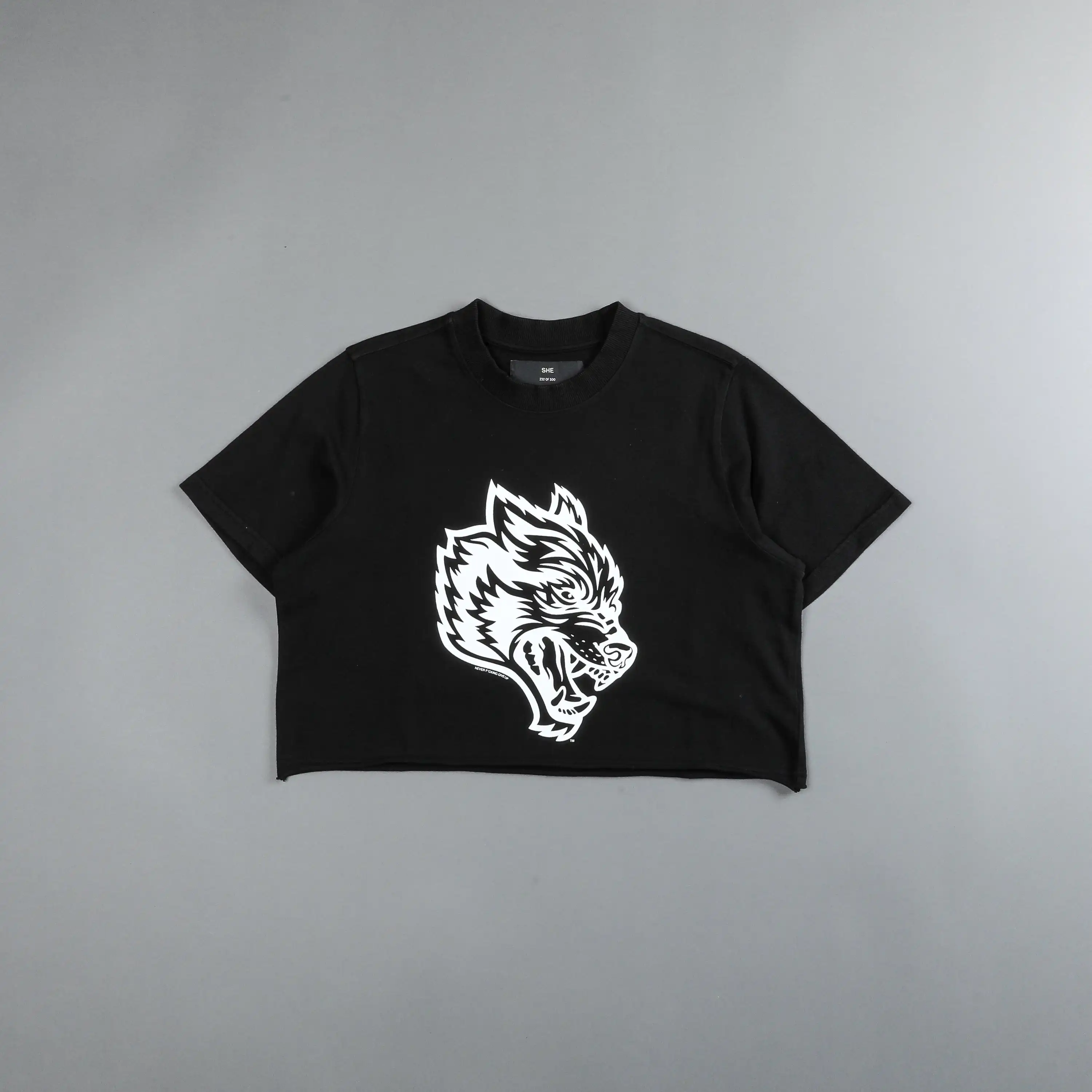 Darcsport Women Shorts No Front Seam High Waist Yoga Pants Women Inseam Fitness Athletic Workout Running Wear Push Up Gym Shorts