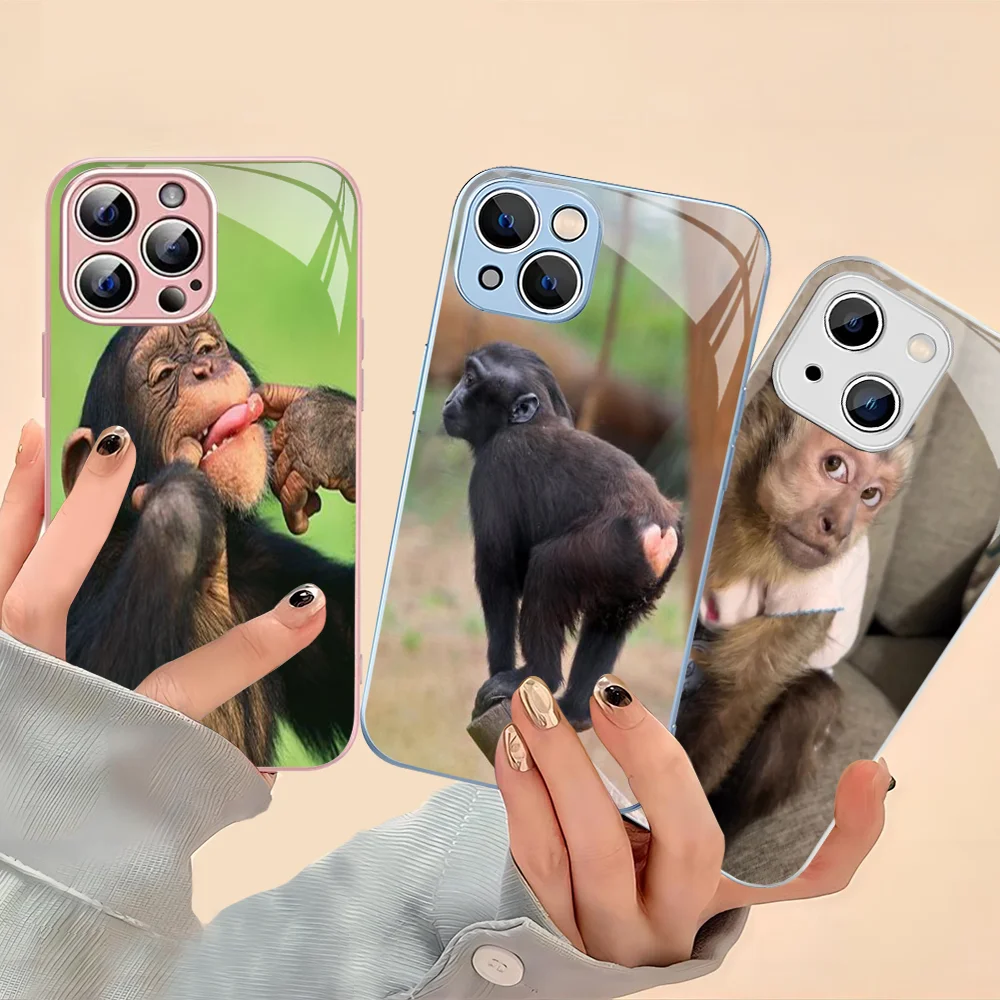 Чехол для телефона Monkey Sipping Caprisun Meme iPhone 14 13 12 Mini 11 Pro XS Max X XR Plus чехол из закаленного