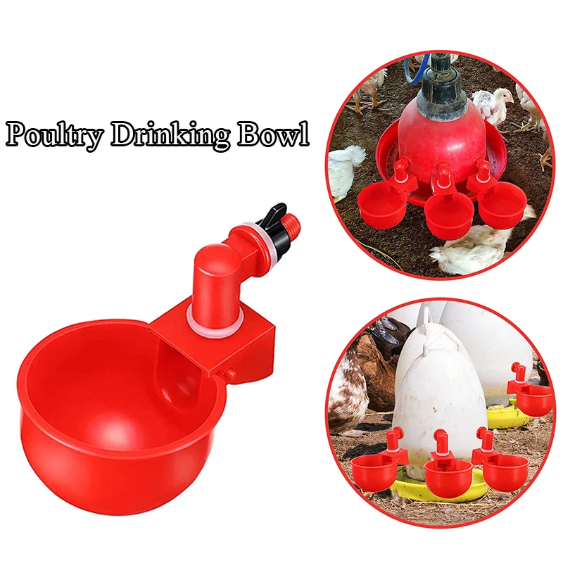 

Automatic Chicken Water Cup Waterer Bowl For Chicks Duck Goose Water Feeder Poultry Accessory Farm Accessory 2022 New Thickened
