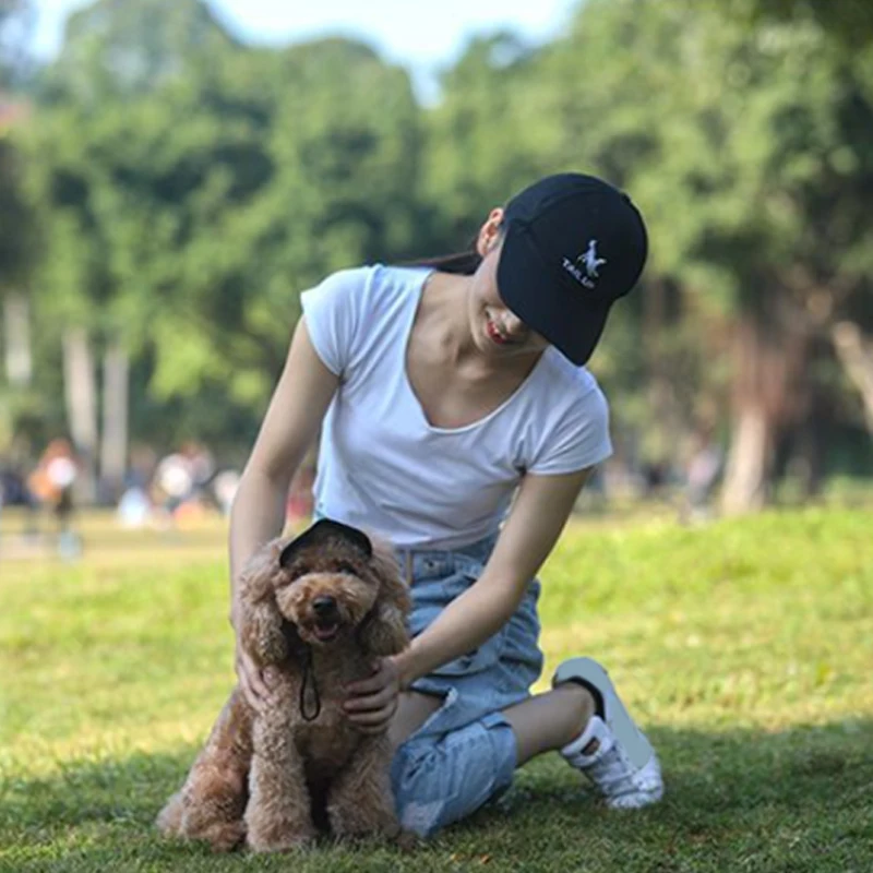 Модная бейсбольная шляпа для домашних животных с отверстиями ушей