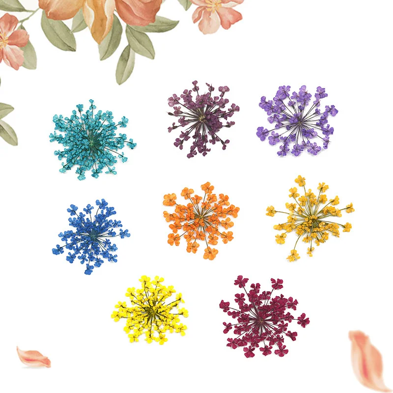 

120pcs Gypsophila Dried Flowers Minoan Lace Pressed Flowers Gifts Natural True Plant Specimen For Nail Phone Case Bookmark Decor