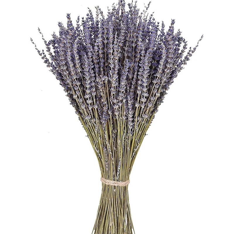 

Dried Lavender Flowers 300-320 Stems Natural Dried Lavender Bunches For Home Decoration, Home Fragrance