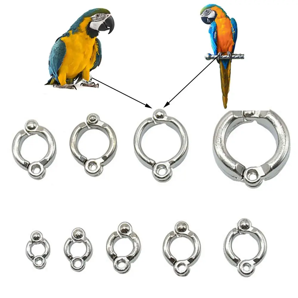

Metal Clip for Pigeon Anti-Lost Training Activity Bird Supplies Parrot Foot Rings
