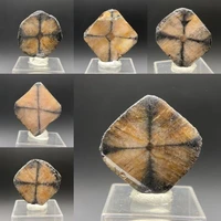 1pcs natural hollow stone cross stone andalusite mineral crystal geology popular science teaching specimen collection ornaments