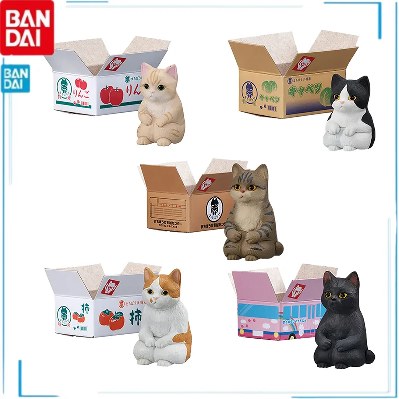

Bandai Gashapon Animal Ornaments Carton Cat Three Flowers Orange Cat Cow Cat Black Cat Different Style Models Desktop Decoration