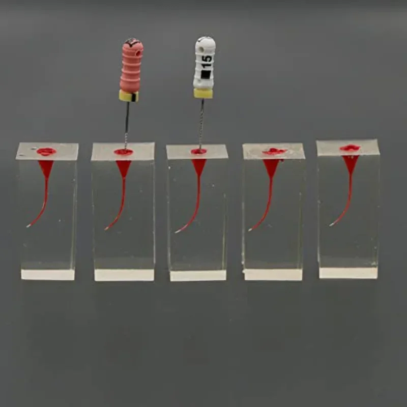 Стоматологический эндододонтический корневой модельный канальный блок для