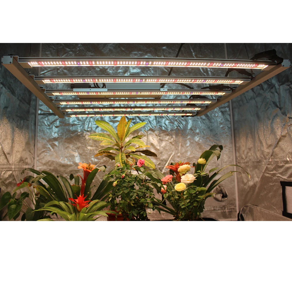 Figolite E4000 LM301H EVO bar 480