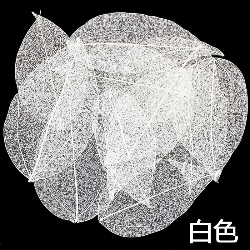 Натуральные листья для декора LINGHUAIYI 30 шт.